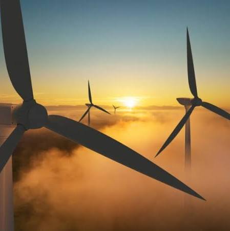 Powering Up—Private Equity Frameworks in Renewable Energy